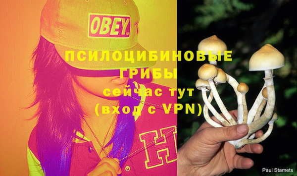 мефедрон мука Новодвинск