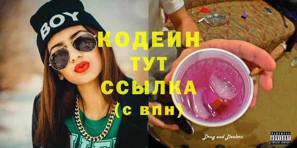 стафф Новозыбков