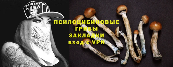 стафф Новозыбков