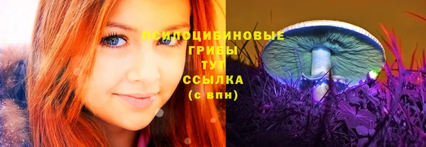 герыч Новокубанск